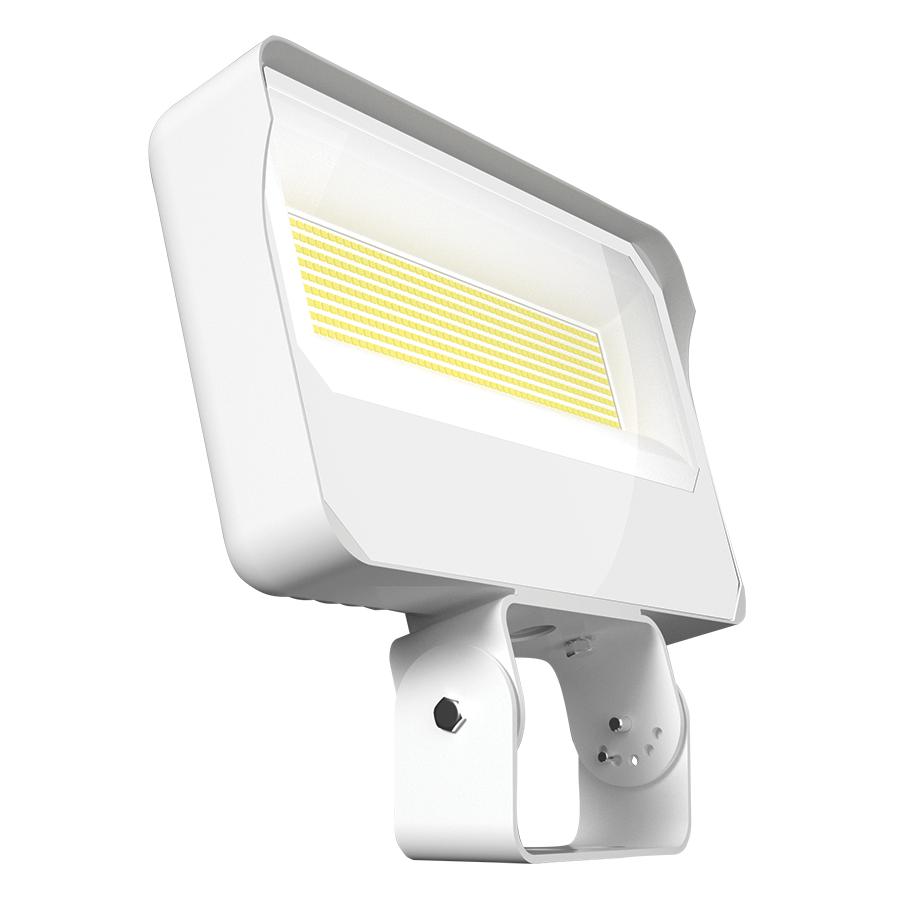 RAB Lighting X34XXLTW/RGB Flood Light Fixtures