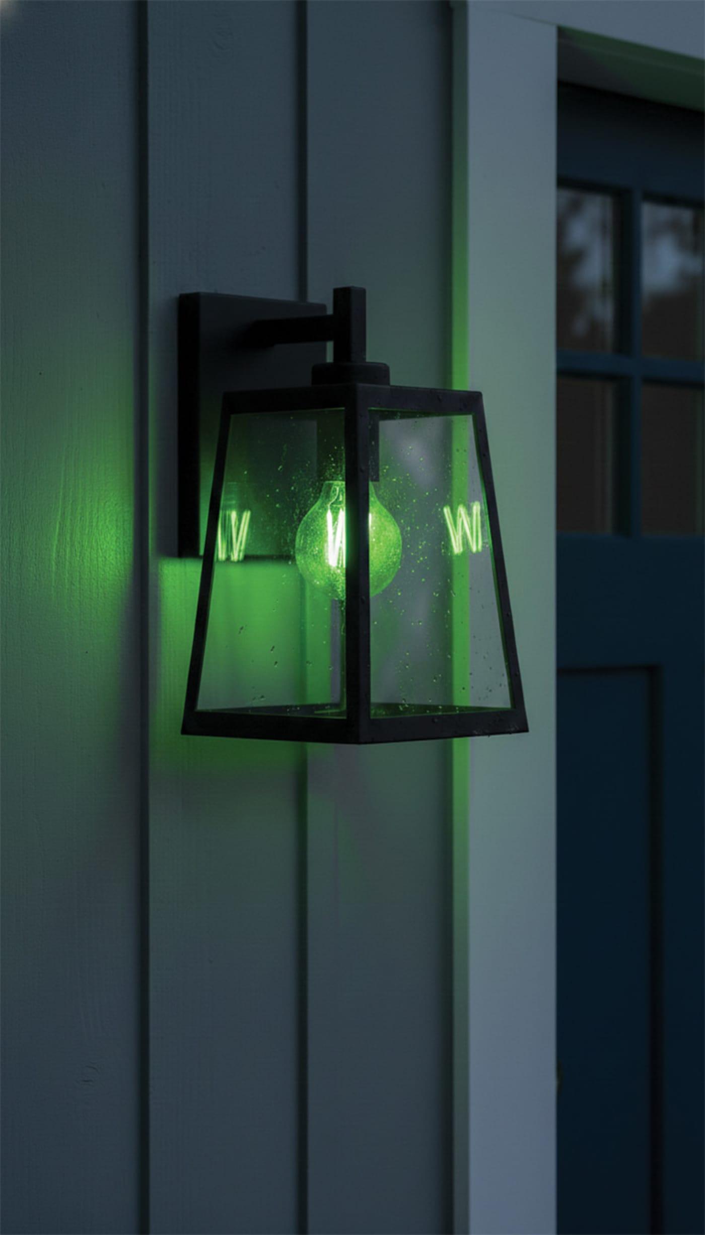 SATCO® S14387 LED - Decorative