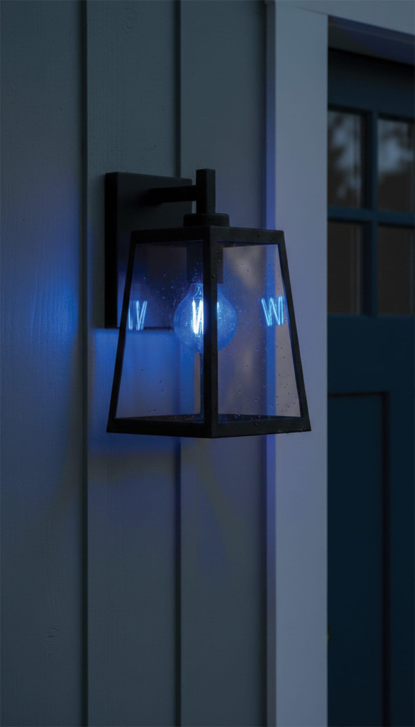 SATCO® S14388 LED - Decorative