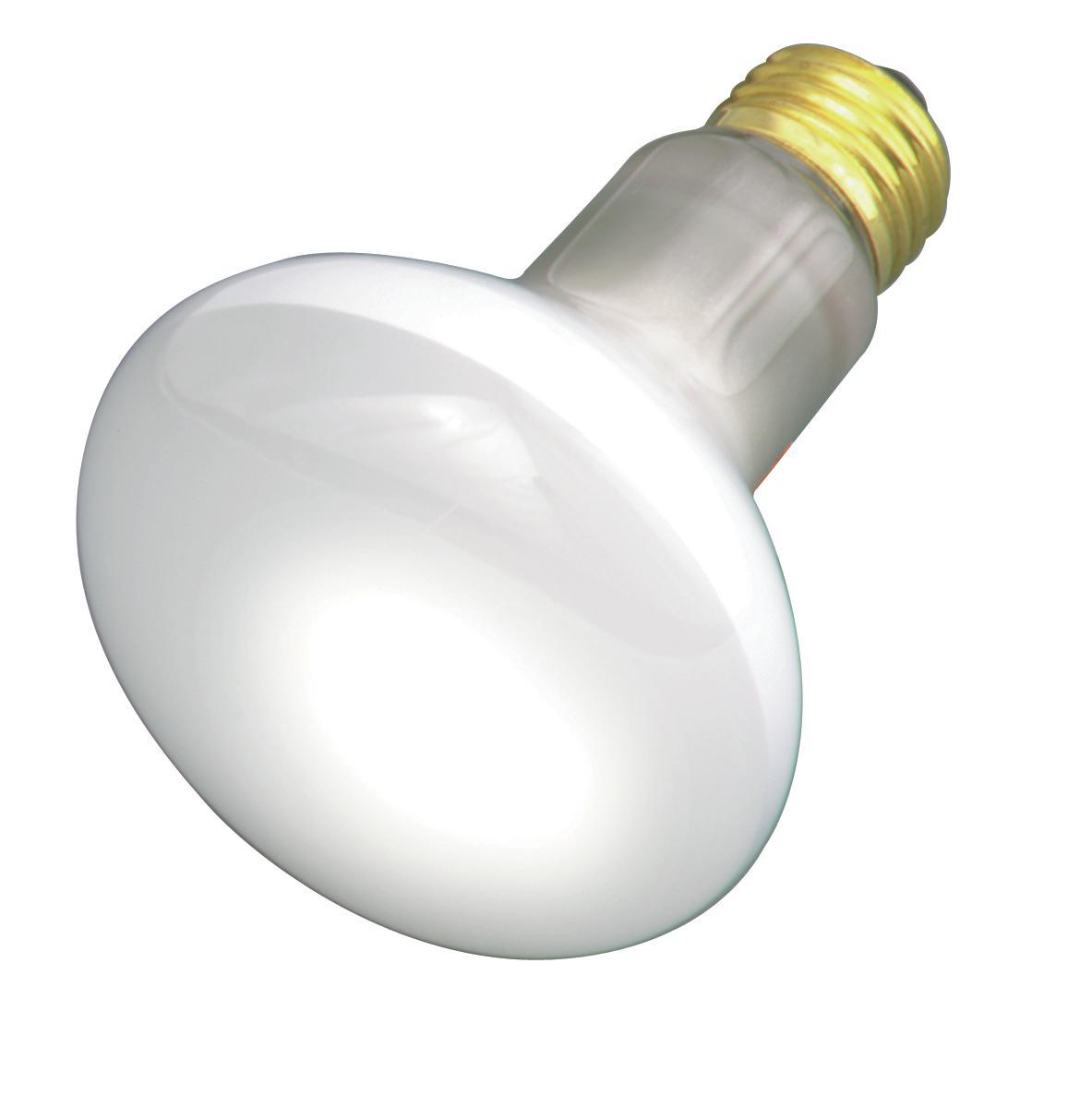 SATCO® S2810 Incandescent - Reflective