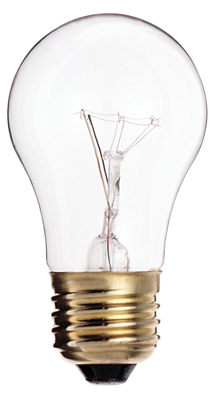 SATCO® S2840 Incandescent - General Purpose