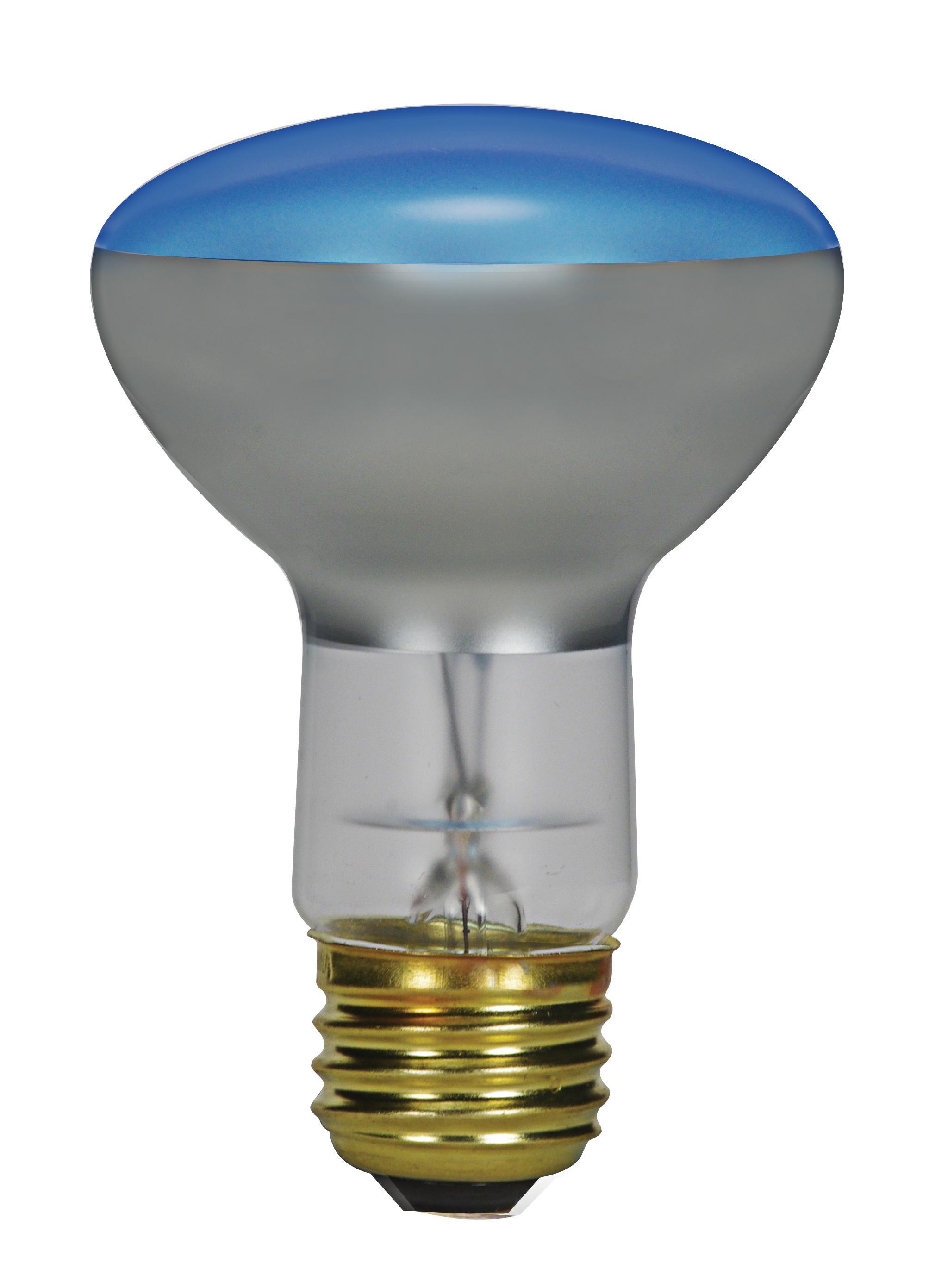 SATCO® S2850 Incandescent - Reflective