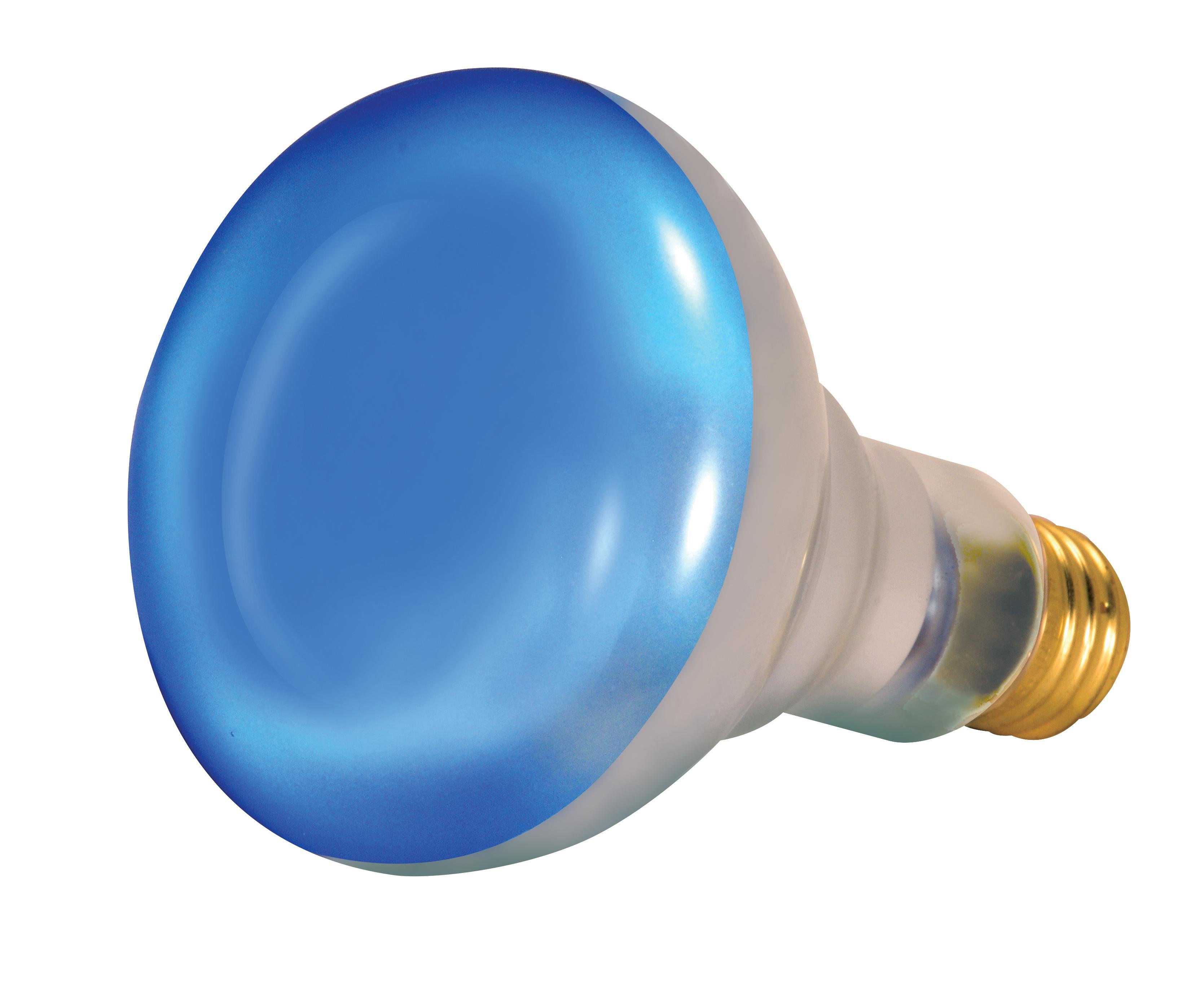 SATCO® S2852 Incandescent - Reflective
