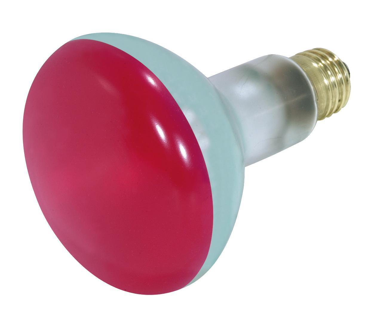 SATCO® S3240 Incandescent - Reflective