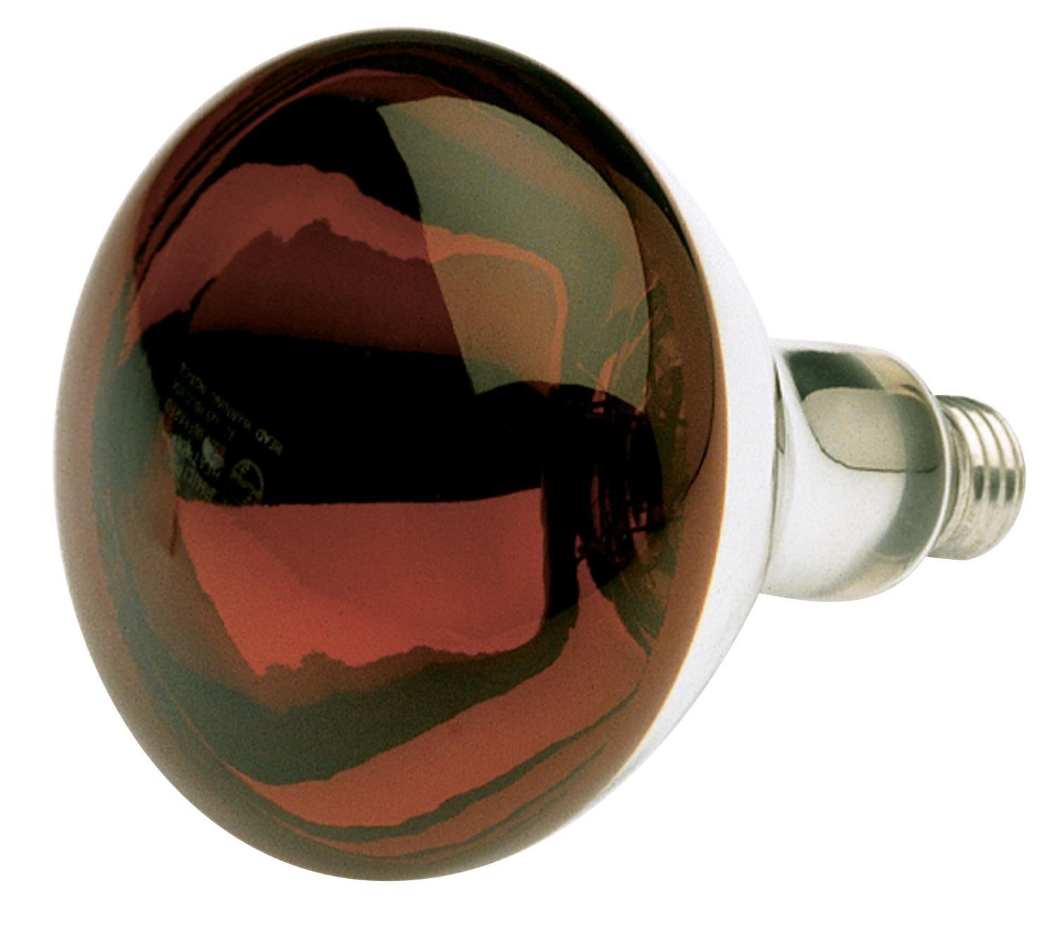 SATCO® S4884 Incandescent - Coated