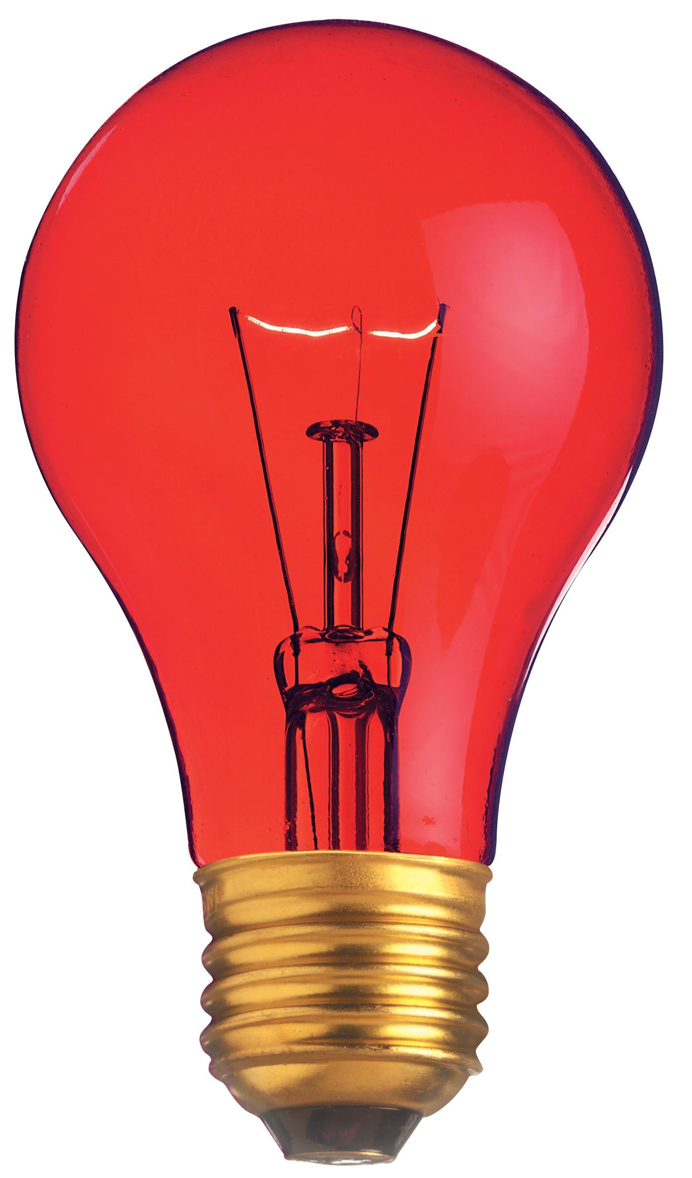 SATCO® S6080 Incandescent - General Purpose