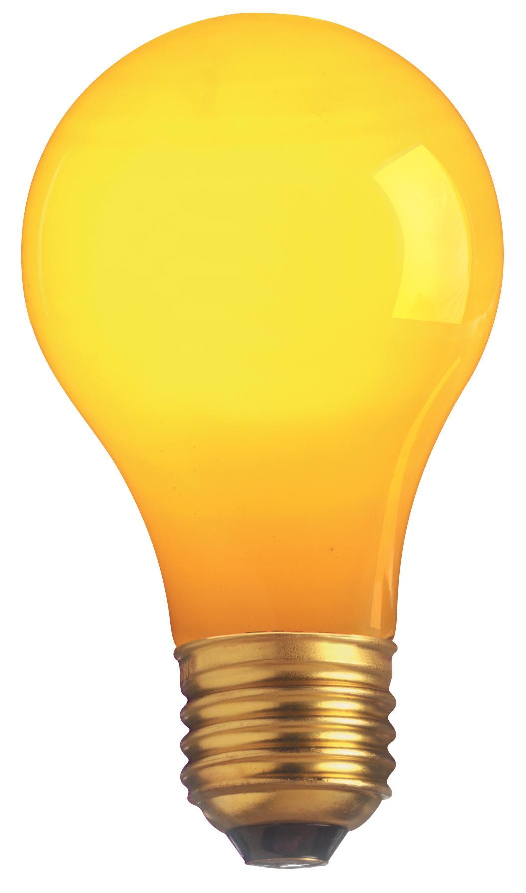 SATCO® S6093 Incandescent - General Purpose