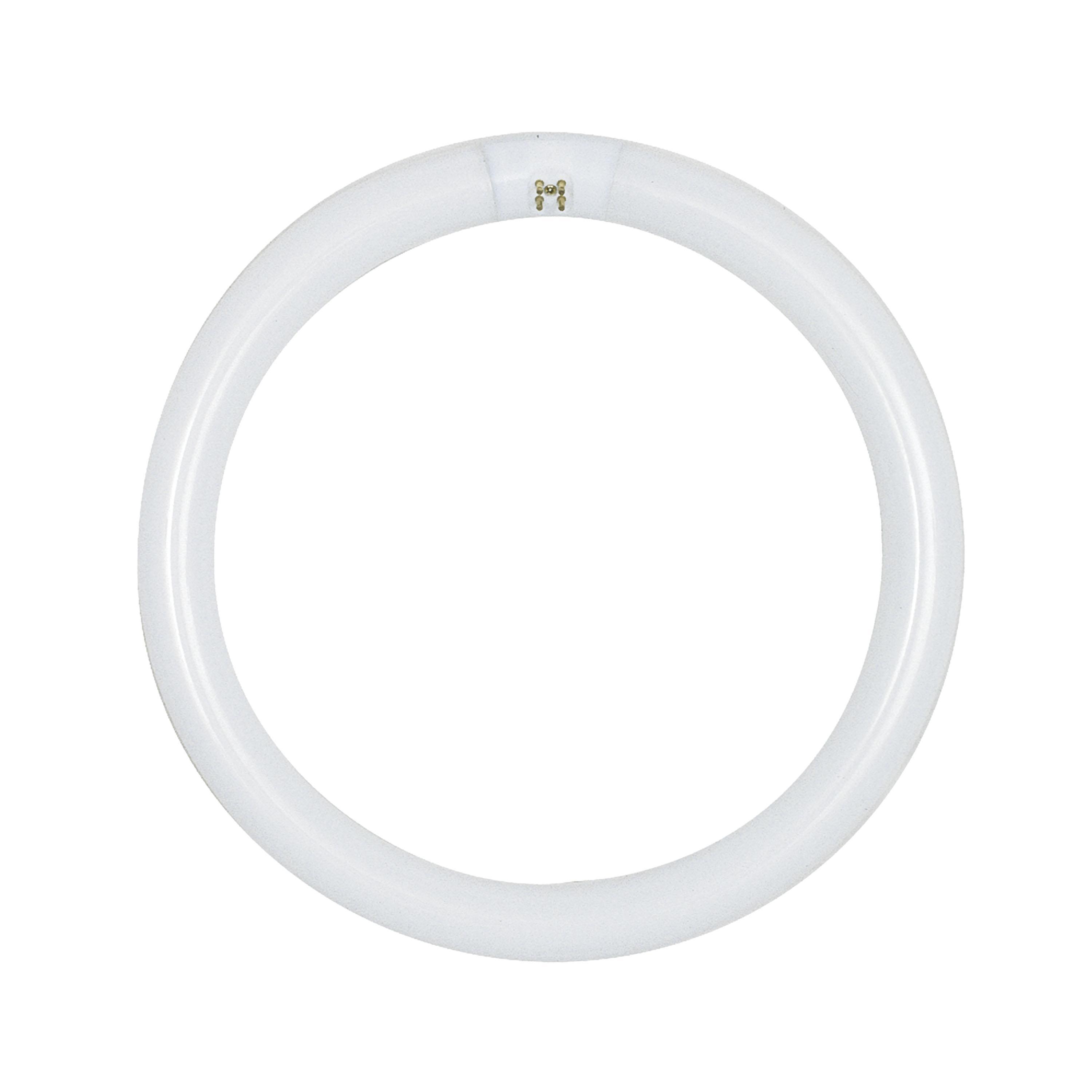 SATCO® S6504 Fluorescent - Circline