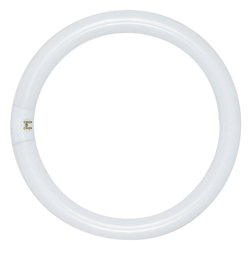 SATCO® S6505 Fluorescent - Circline