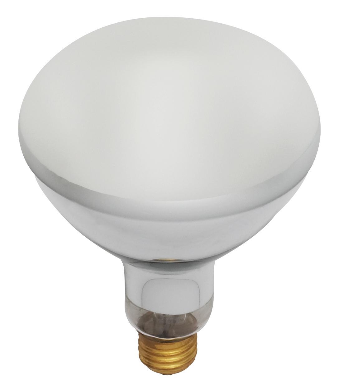 SATCO® S7006 Incandescent - Specialty