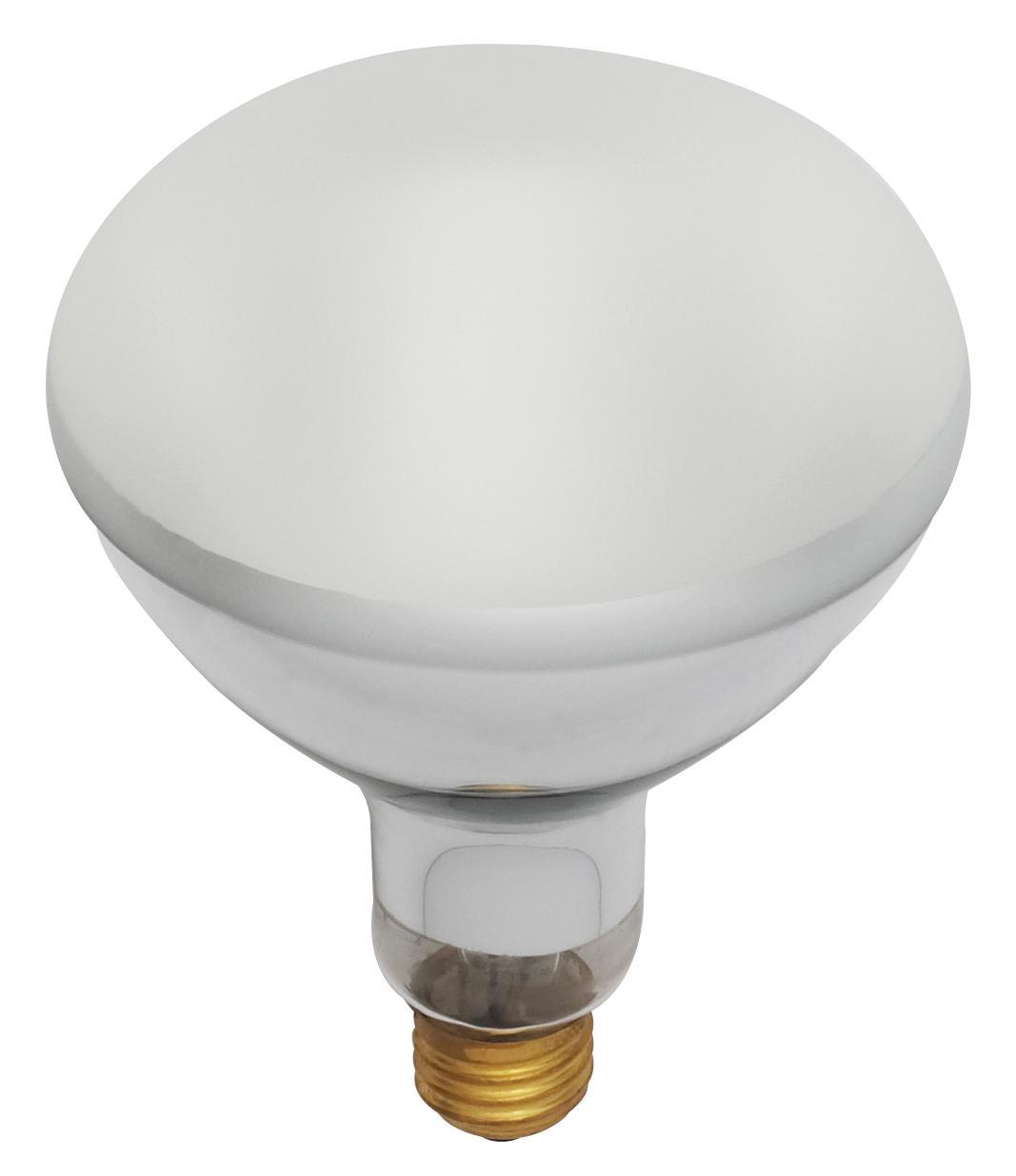SATCO® S7007 Incandescent - Specialty