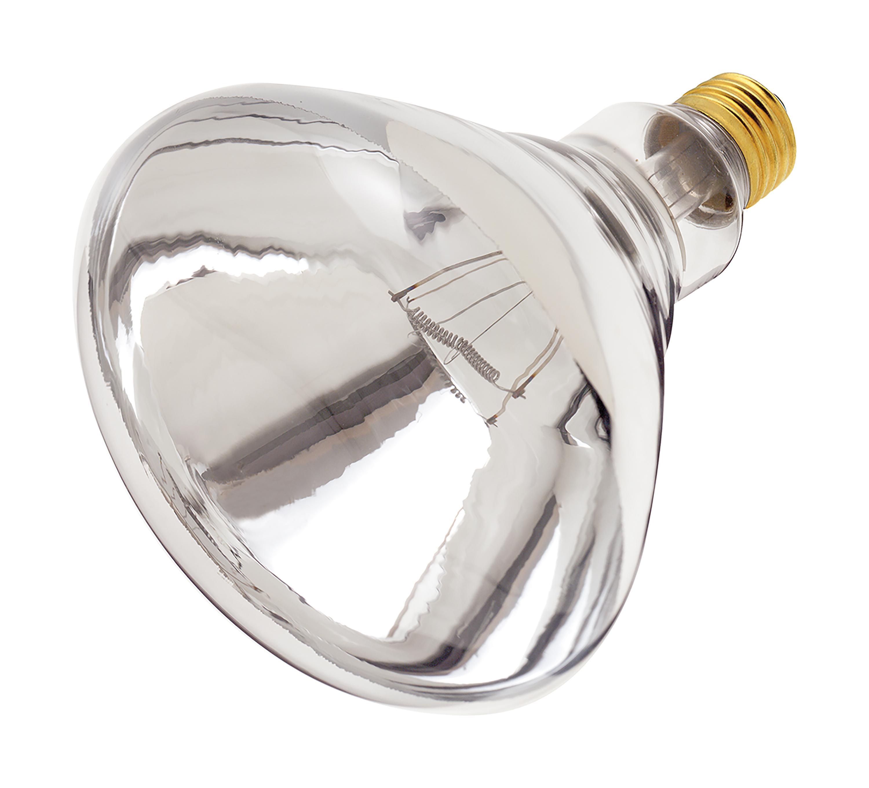 SATCO® S7012 Incandescent - Coated