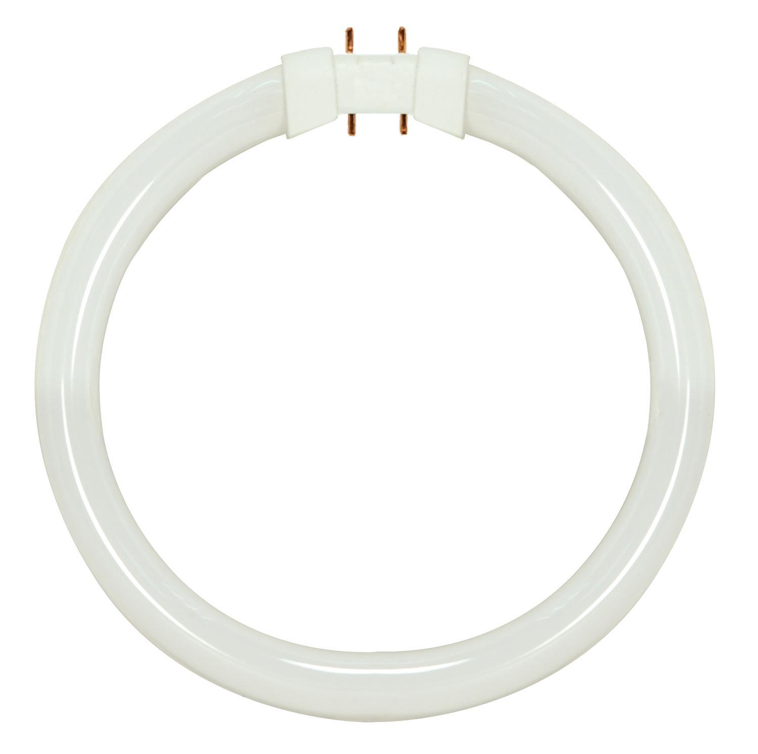 SATCO® S8155 Fluorescent - Circline
