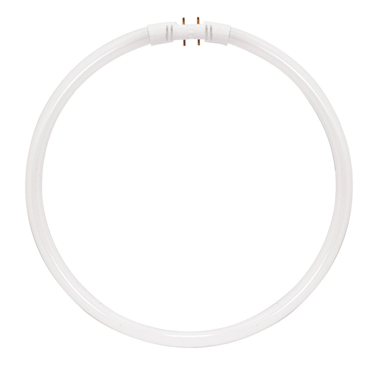 SATCO® S8158 Fluorescent - Circline