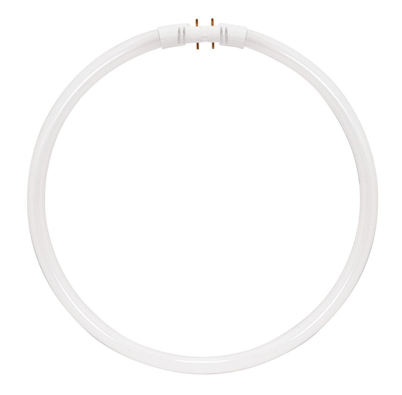 SATCO® S8162 Fluorescent - Circline