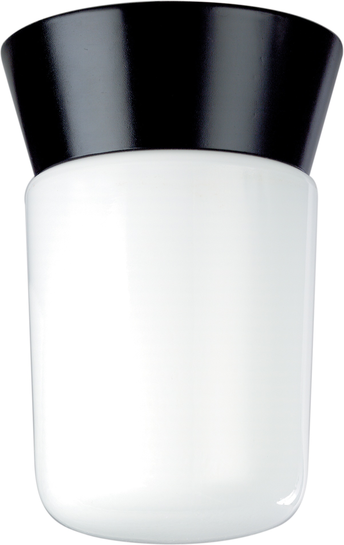SATCO® 77-154 Outdoor Ceiling Lighting