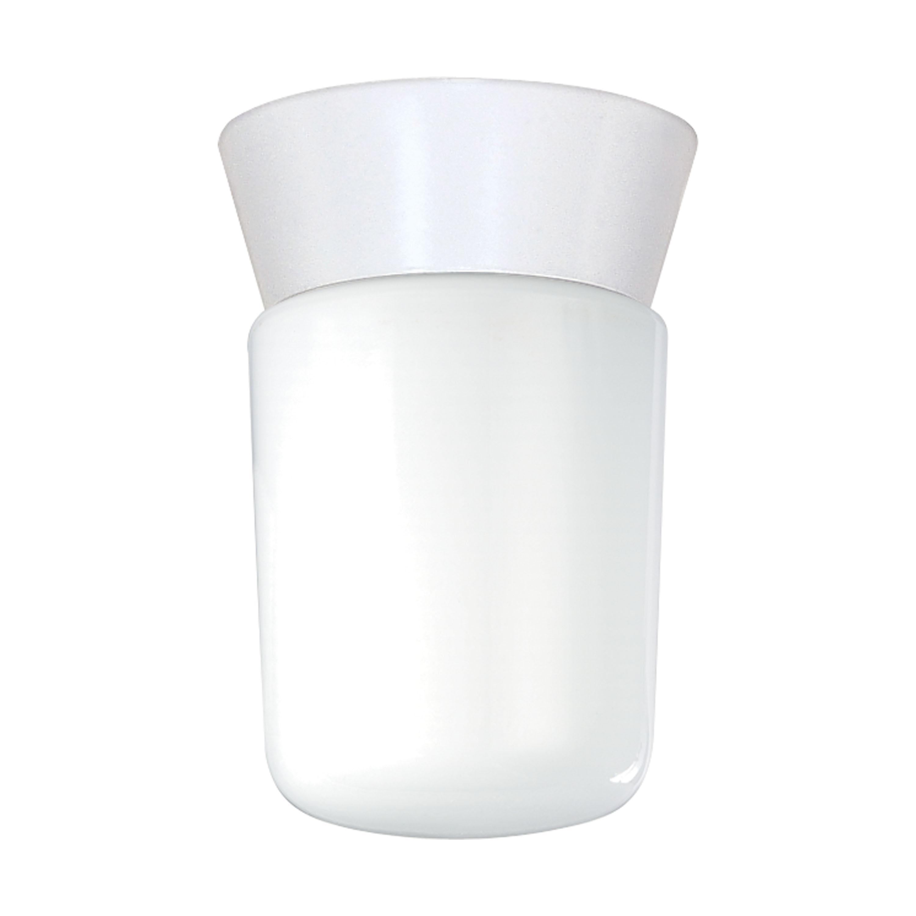 SATCO® 77-533 Outdoor Ceiling Lighting