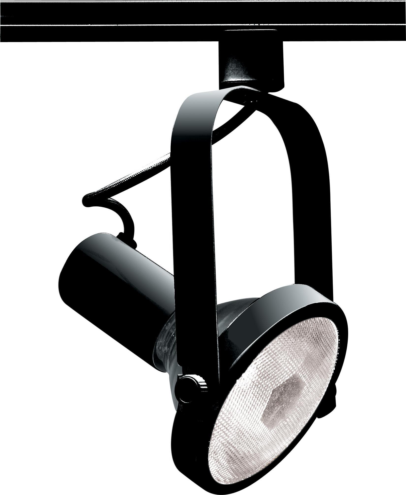 SATCO® TH223 Track Heads