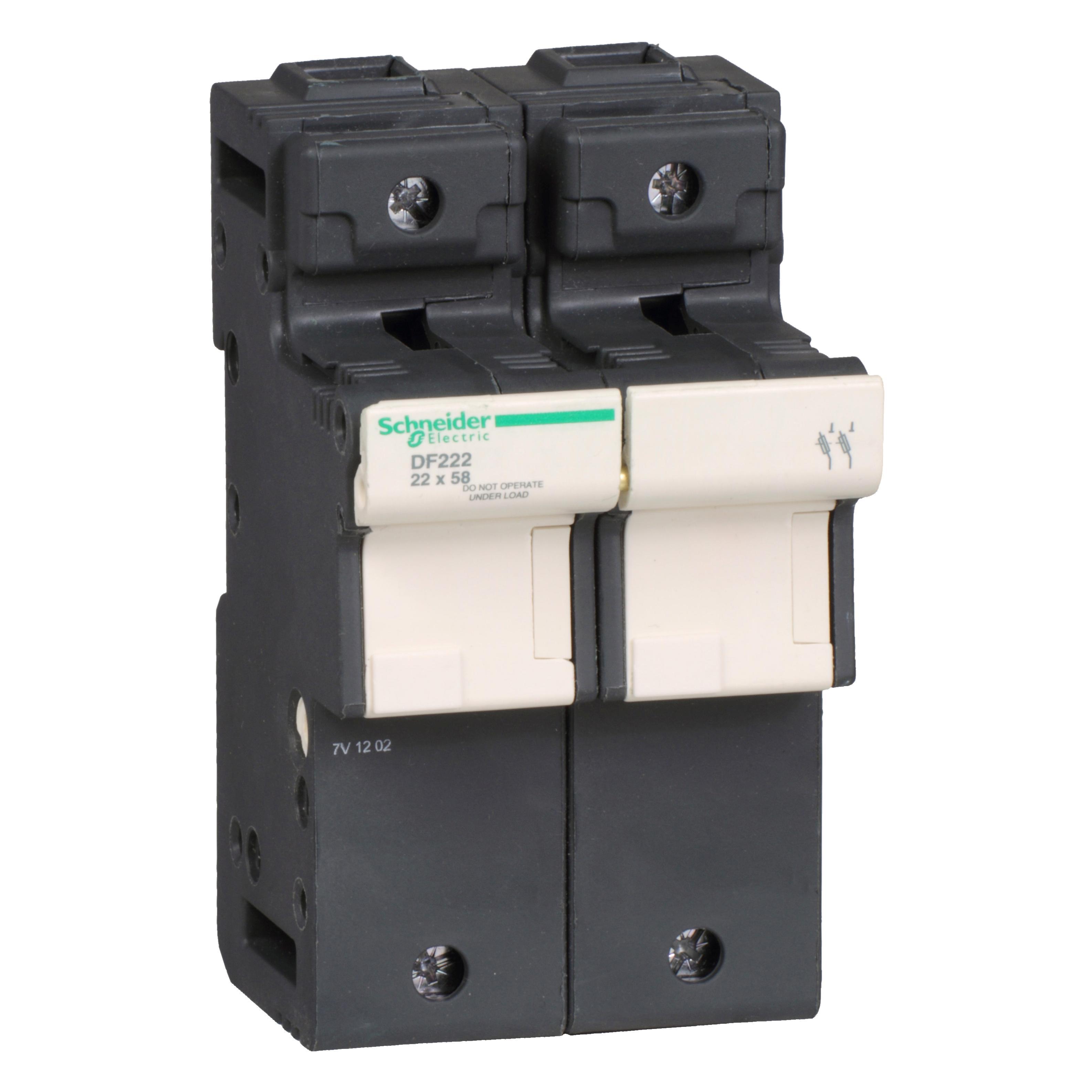 Schneider Electric DF222 Fuses
