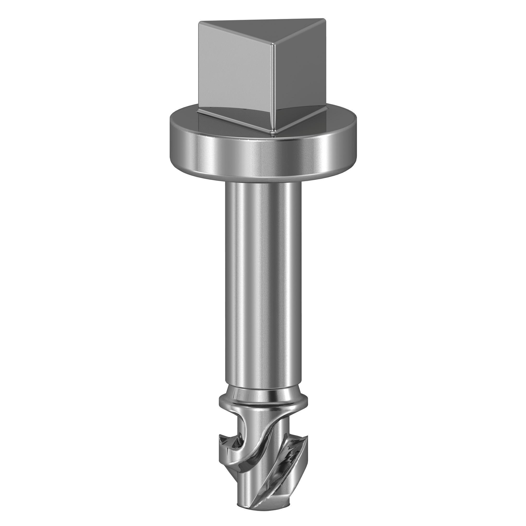 Schneider Electric NSYAEDSTSB Enclosure Mounting Accessories