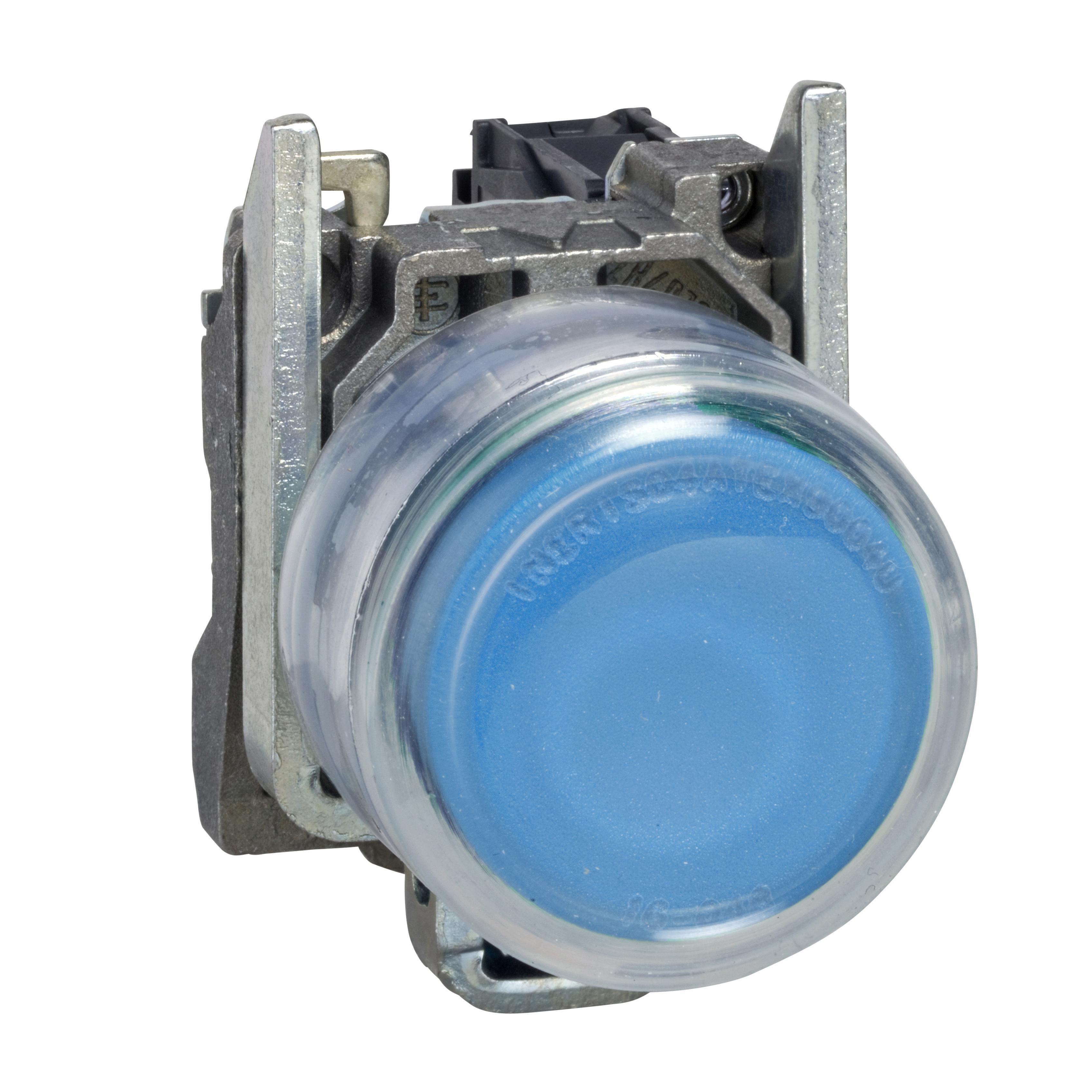 Schneider Electric XB4BP61 Non-Illuminated Pushbuttons