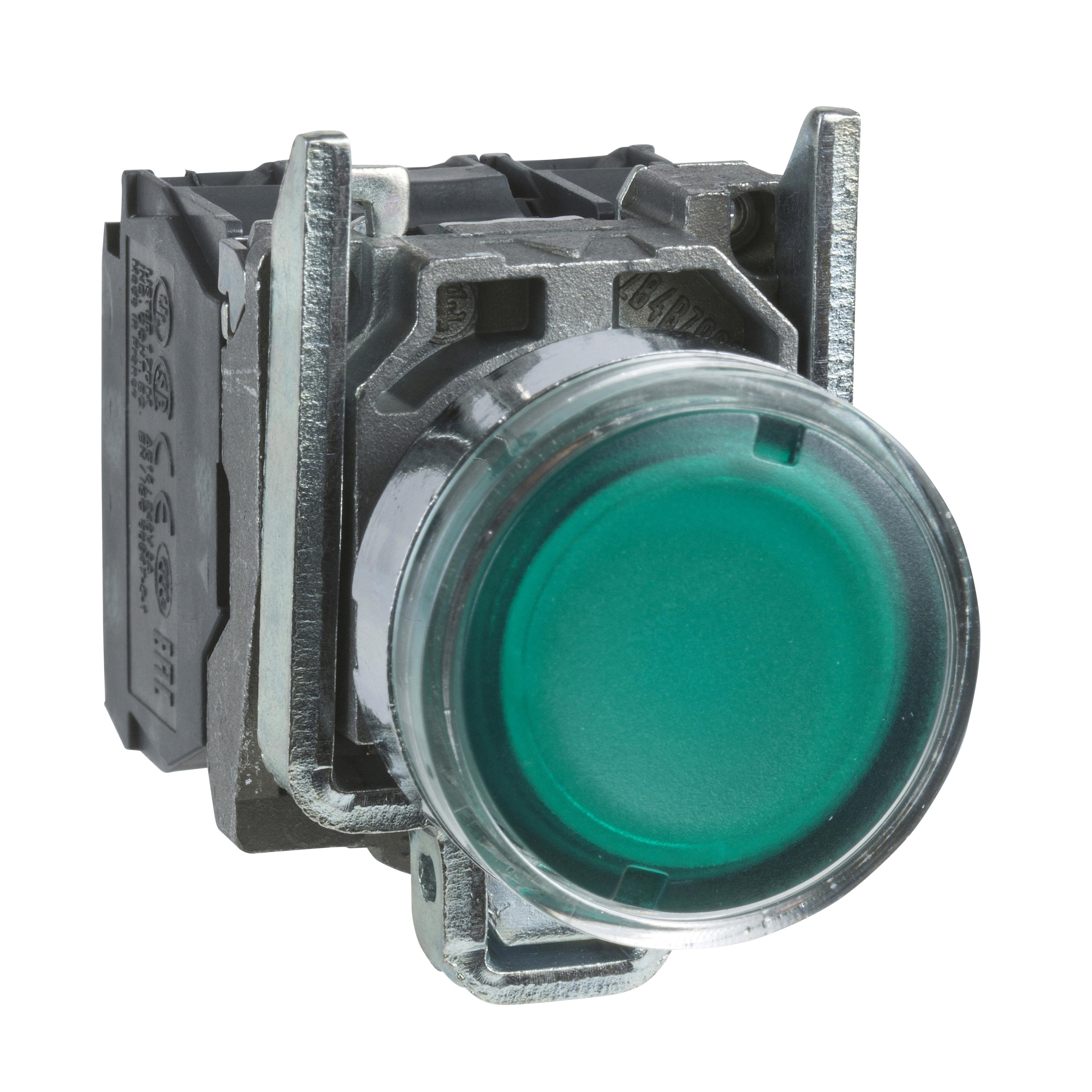 Schneider Electric XB4BW3365 Illuminated Pushbuttons