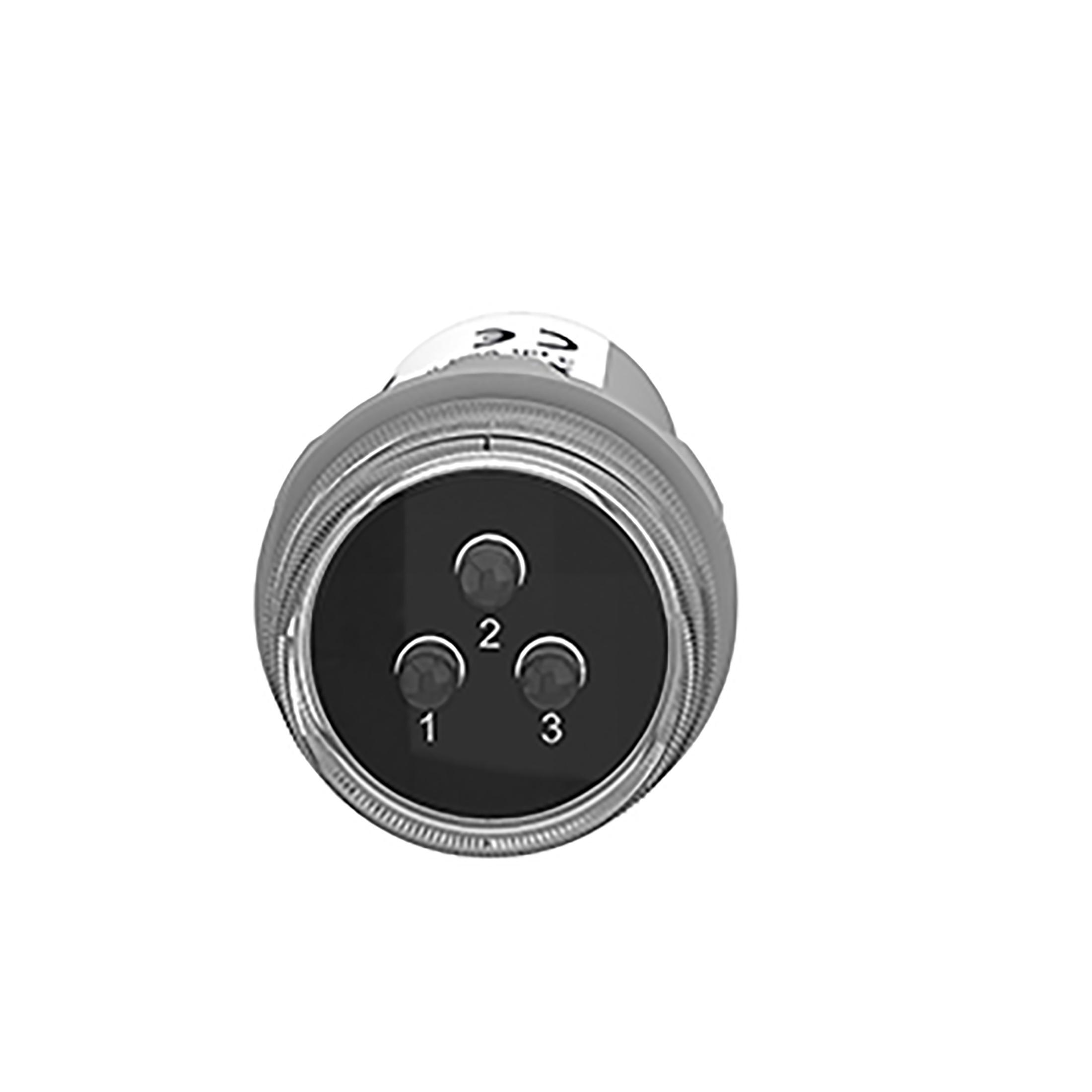 Schneider Electric XB5EV57L4 XB5 Series Monolithic Pilot Light, 450 V AC, 2.6 mA