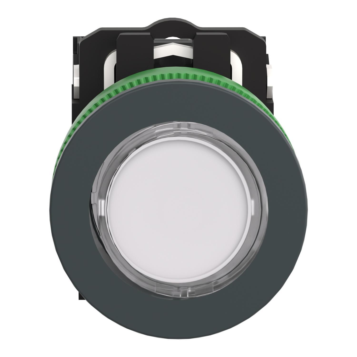 Schneider Electric XB5FW31B5 Illuminated Pushbuttons