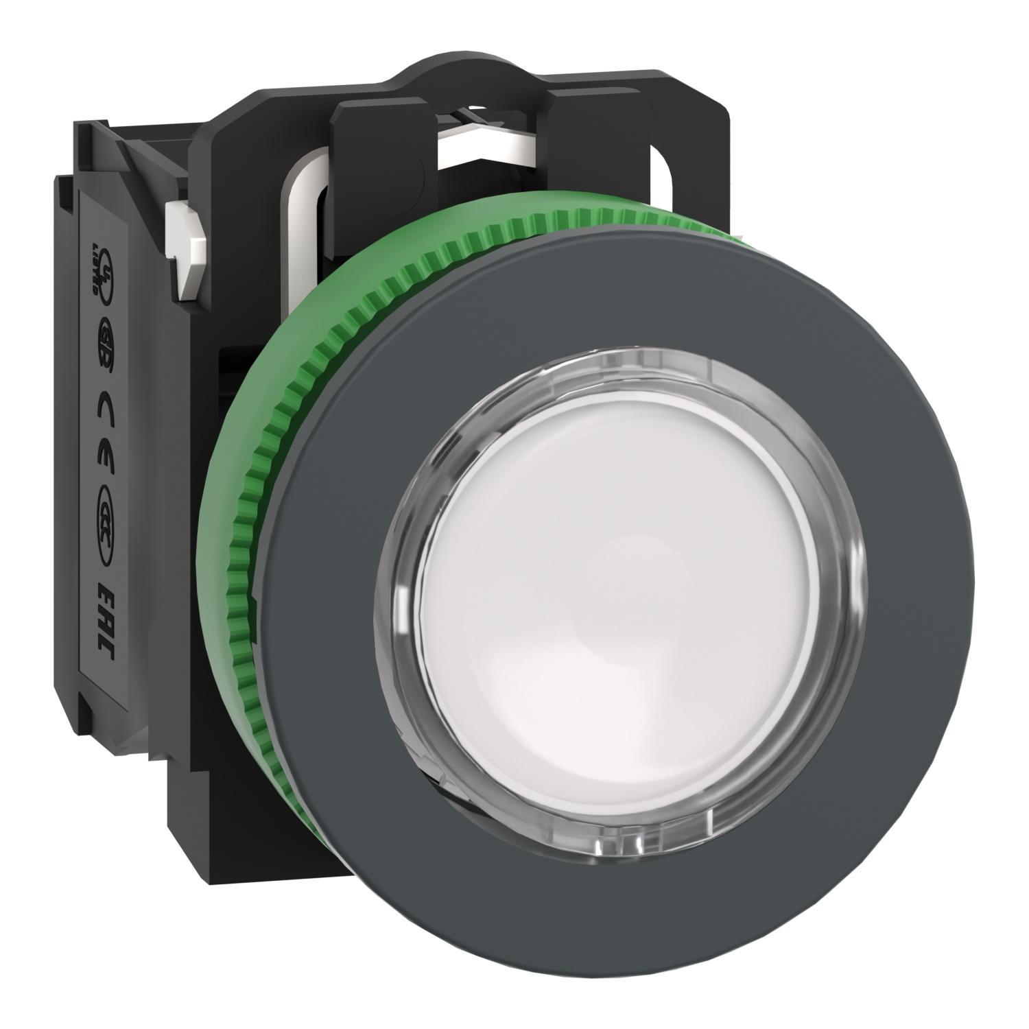 Schneider Electric XB5FW31M5 Illuminated Pushbuttons
