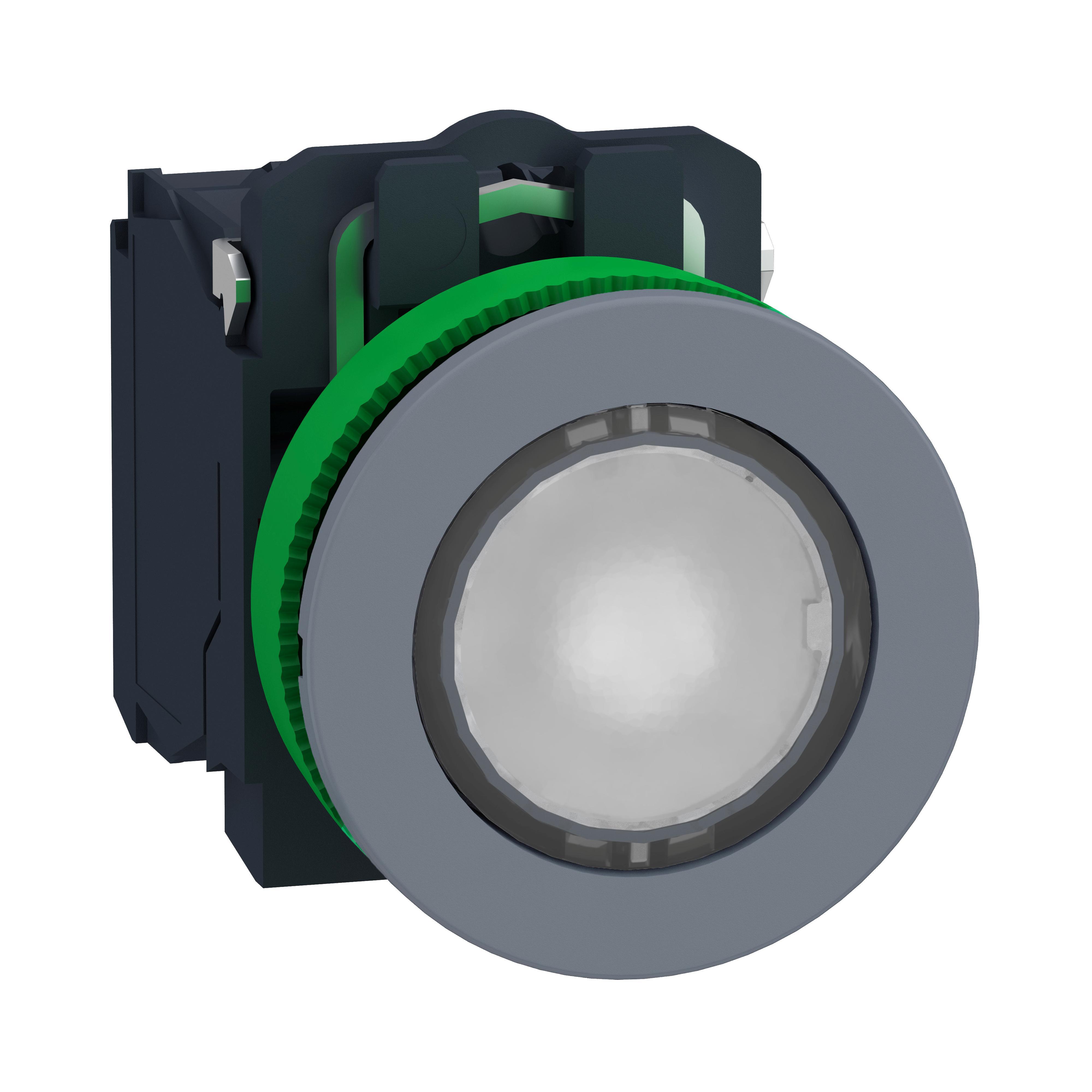 Schneider Electric XB5FW31B5C0 Illuminated Pushbuttons