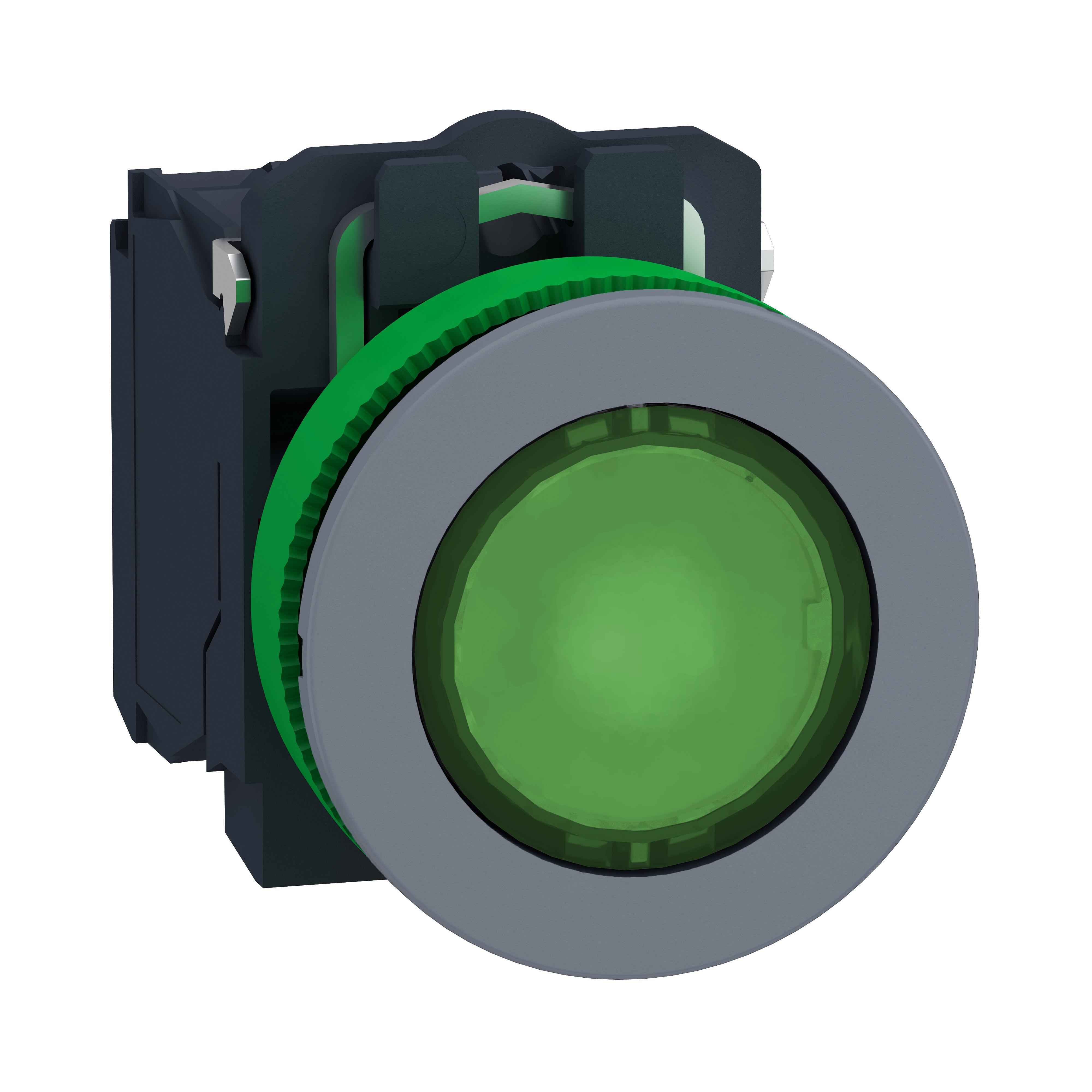 Schneider Electric XB5FW33G5C0 Illuminated Pushbuttons