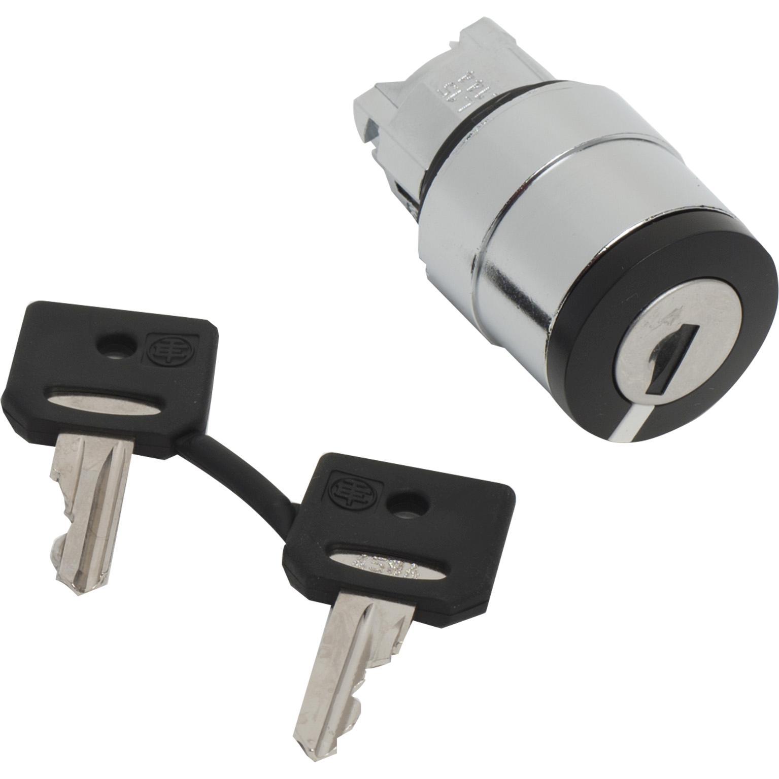Schneider Electric ZB4BG410 Pushbutton & Switch Heads