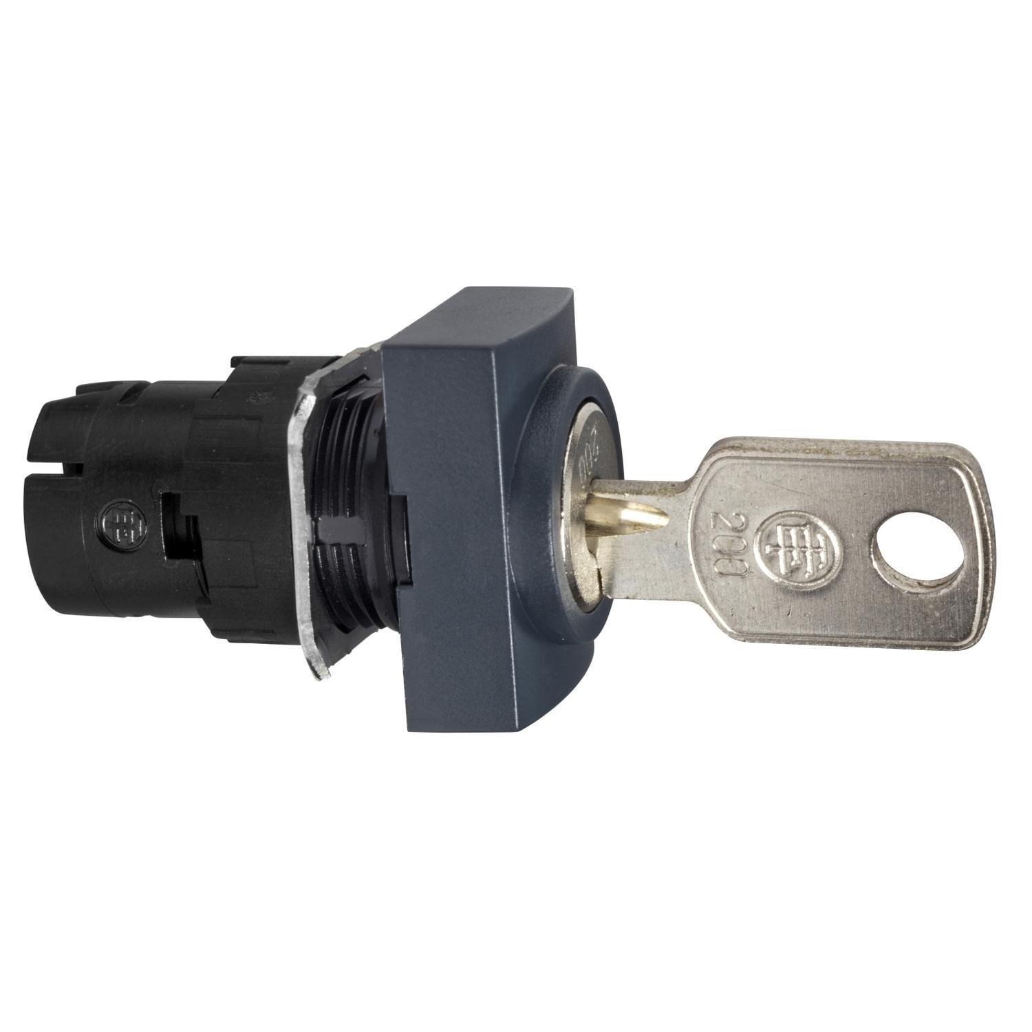 Schneider Electric ZB6DGL Pushbutton & Switch Heads
