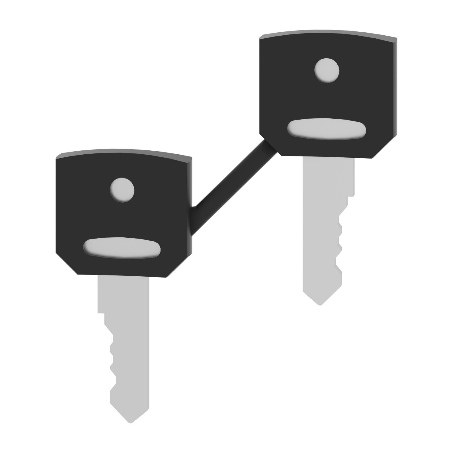 Schneider Electric Harmony™ Square D™ ZBG421E Replacement Key, Ronis Key