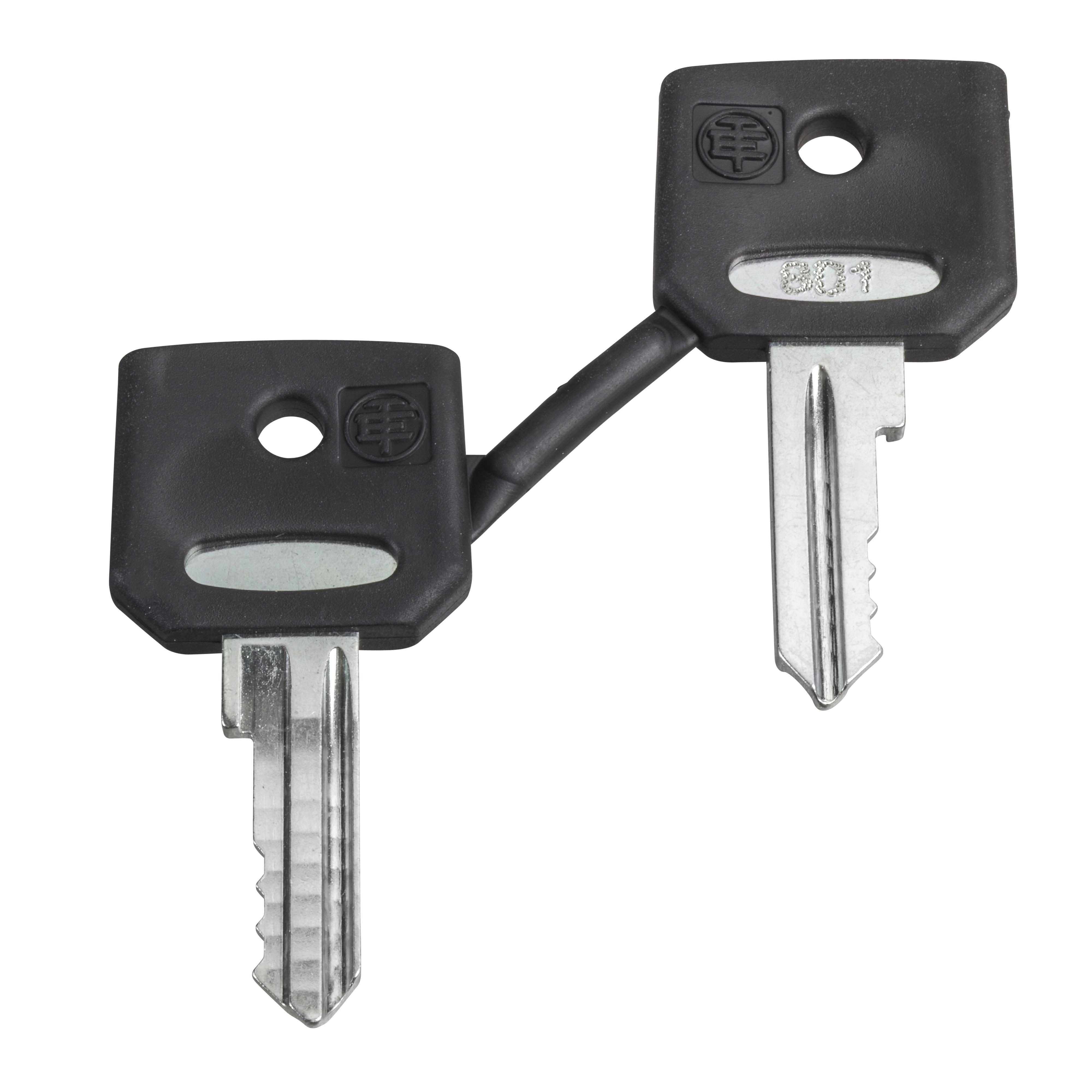 Schneider Electric Harmony™ ZBG520E Replacement Switch Key, Ronis 520E Key