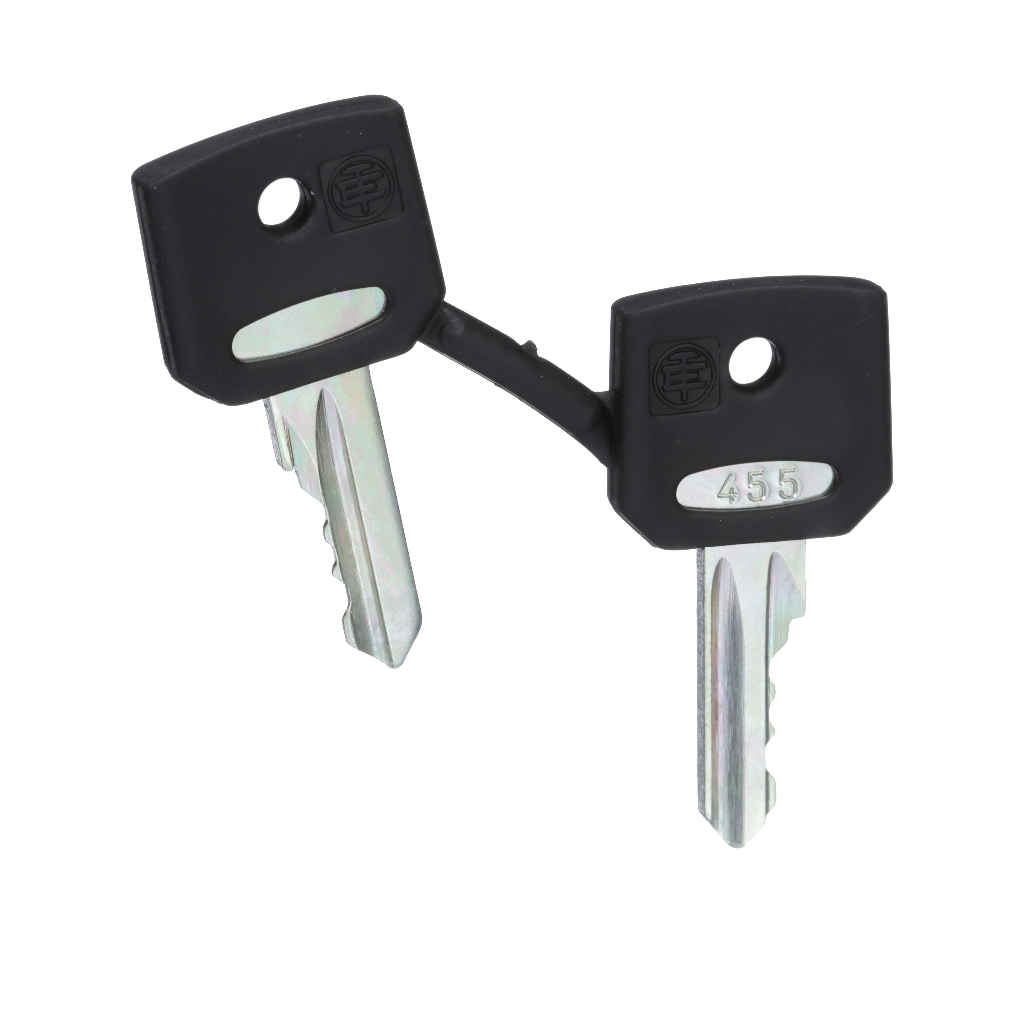 Schneider Electric ZBG455 Pushbutton & Switch Keys