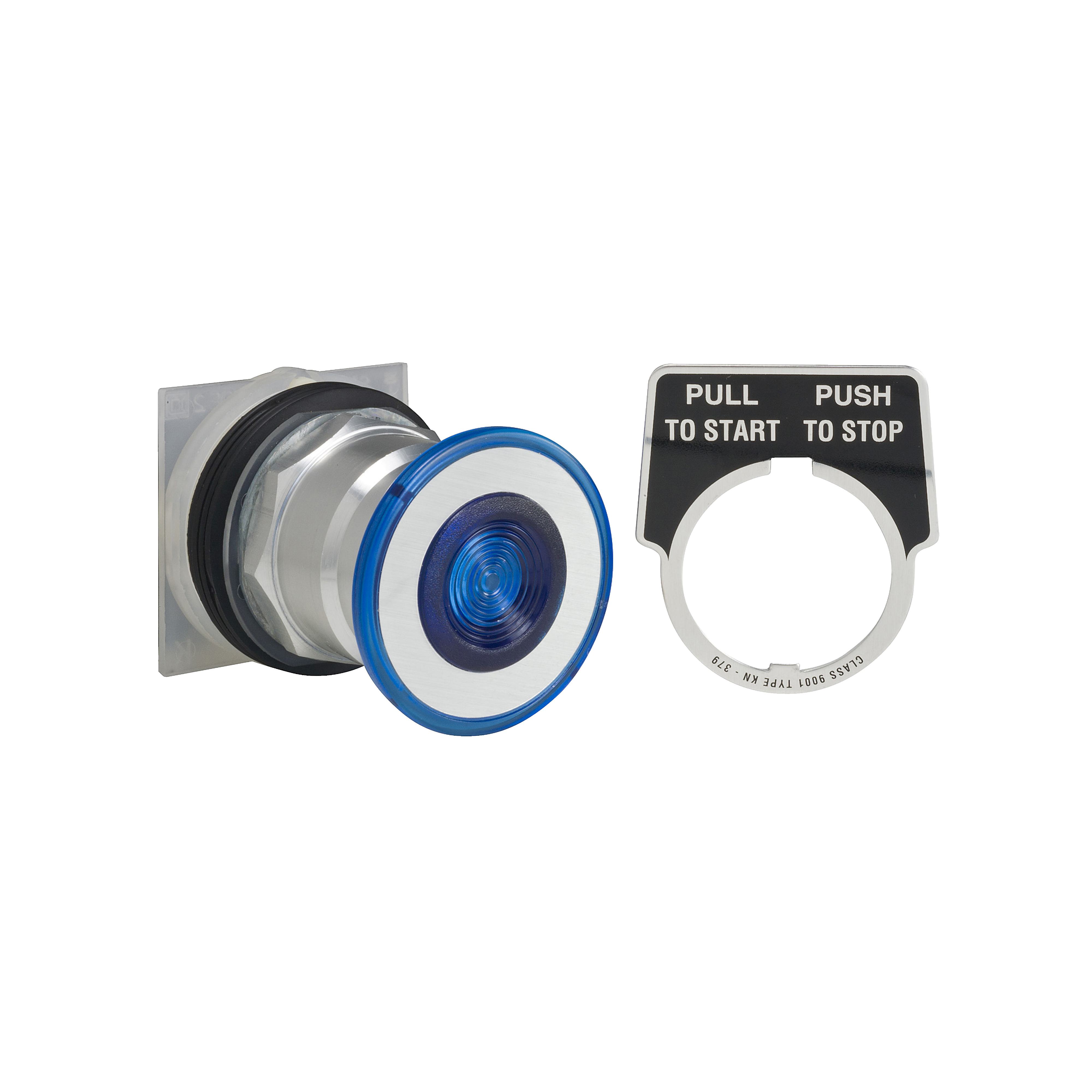 Square D™ 9001KR8P1LGGH25 Non-Illuminated Pushbuttons