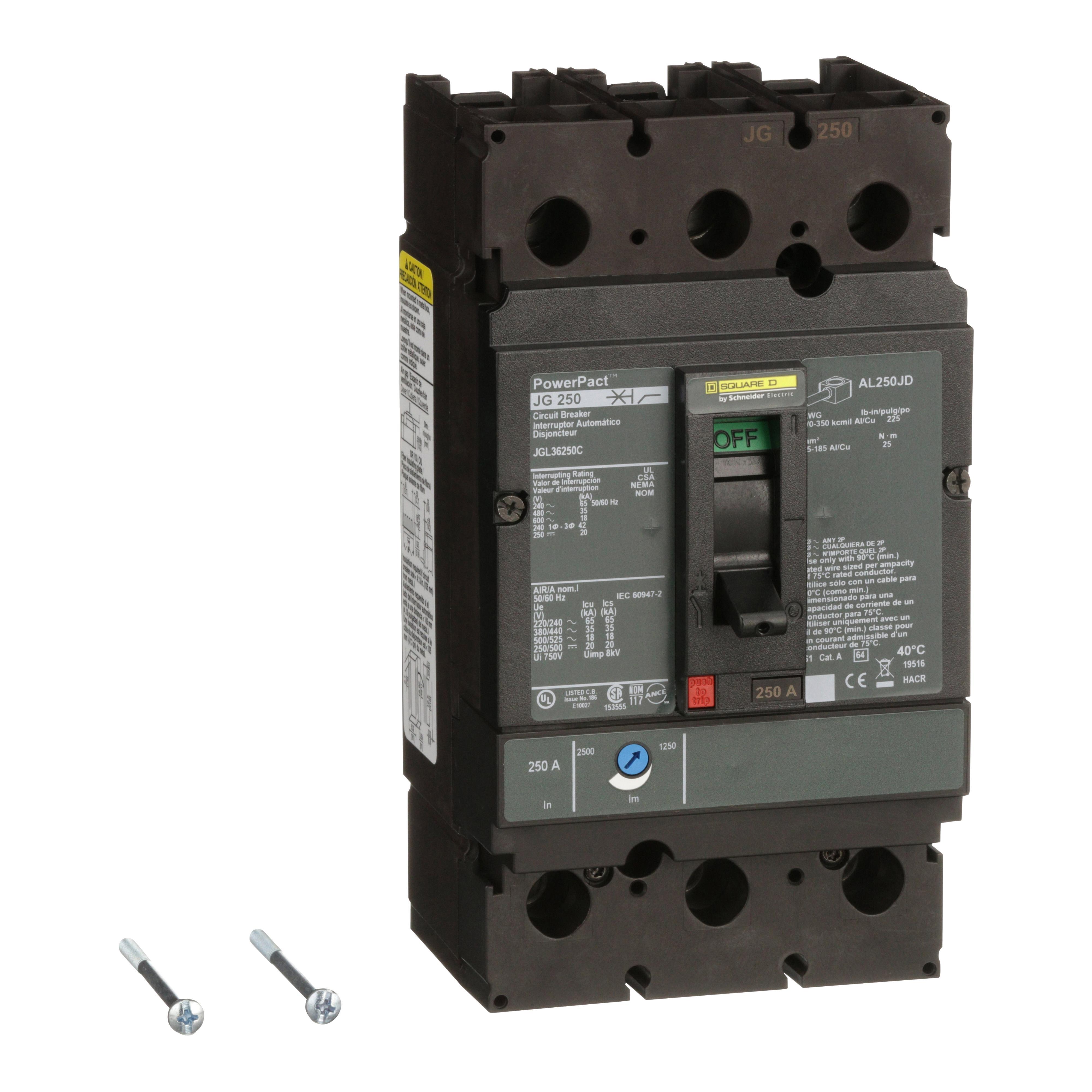 Square D™ JGL36250C Molded Case Circuit Breakers