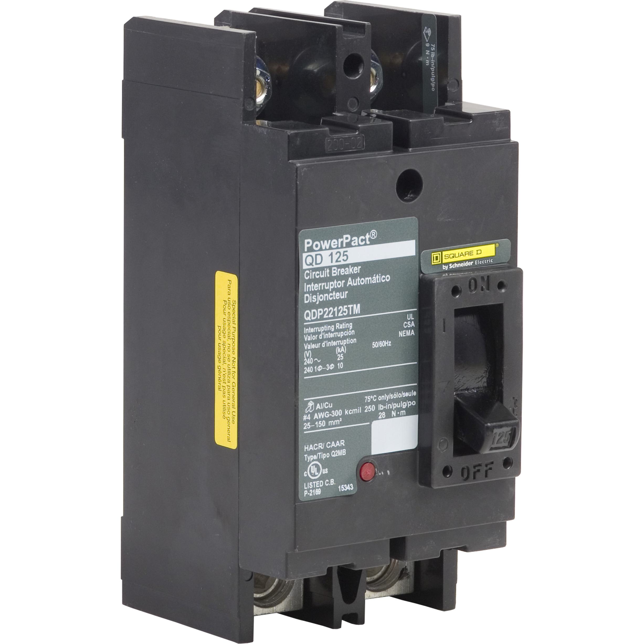 Square D™ QDP22125TM Molded Case Circuit Breakers