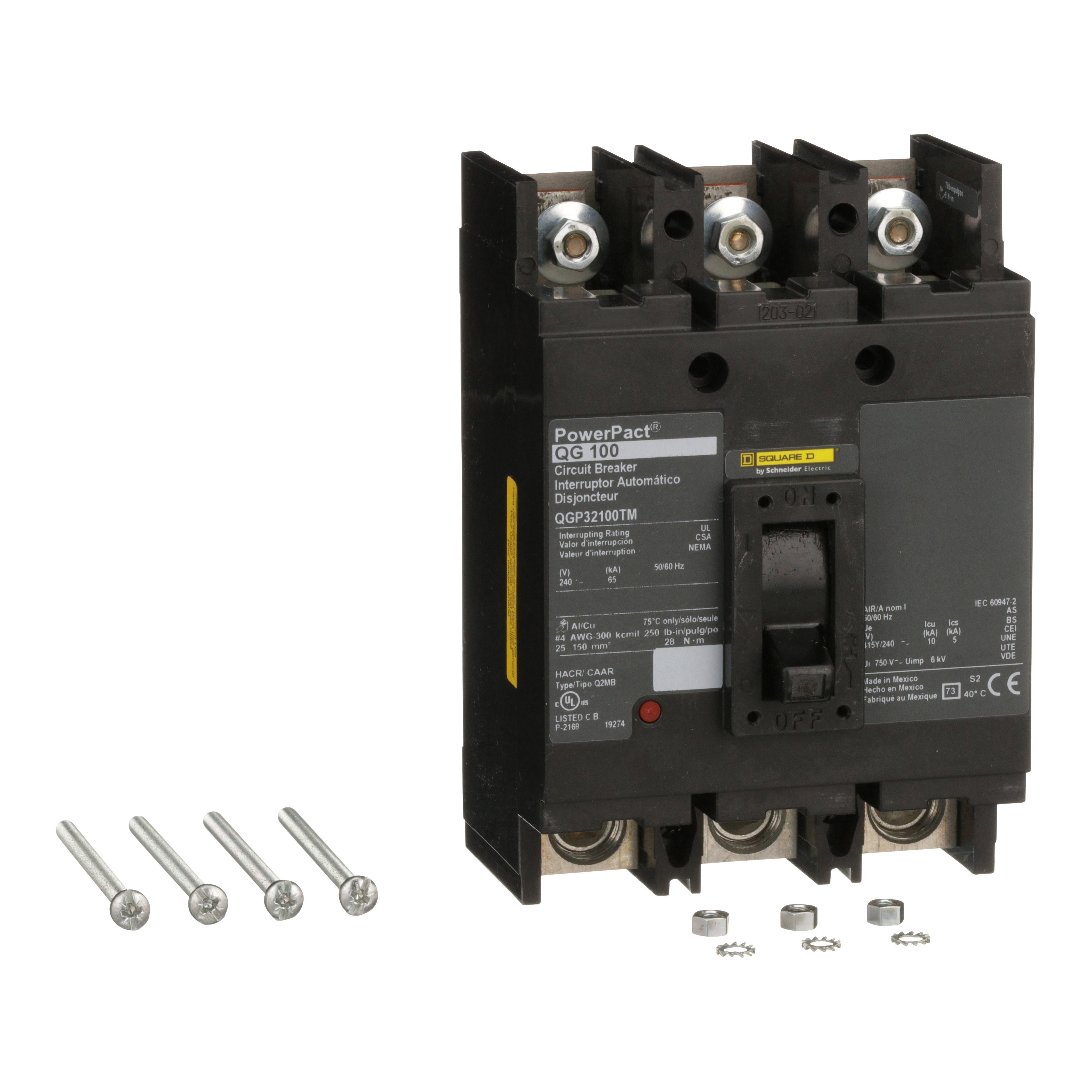 Square D™ QGP32100TM Molded Case Circuit Breakers