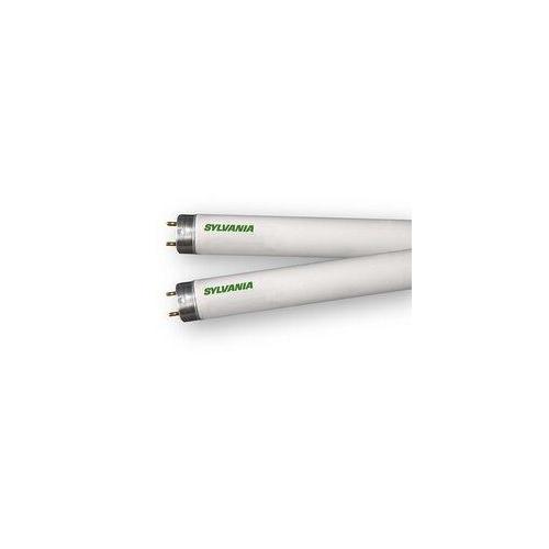 Sylvania FO17/830/XP/ECO3/21785 Fluorescent - Linear