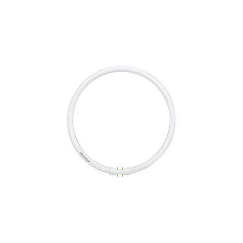 Sylvania FPC55/830/HO/20741 Fluorescent - Circline