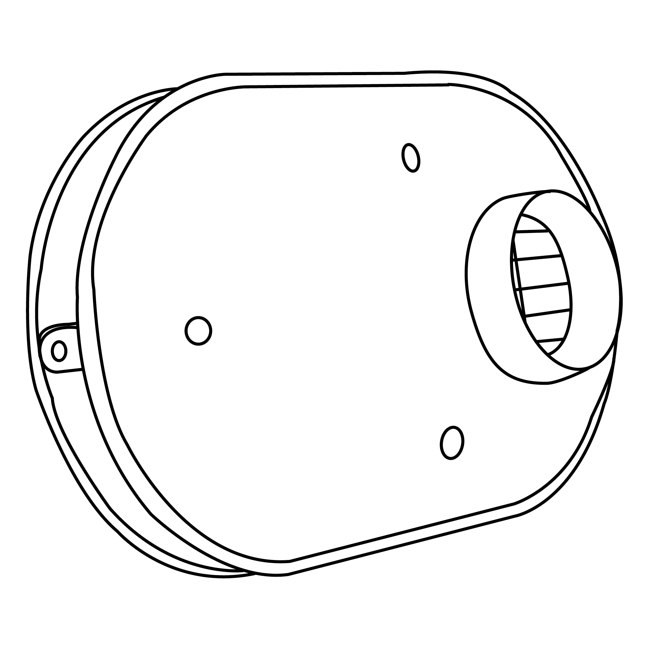 IPEX® 397984 Vent Terminations