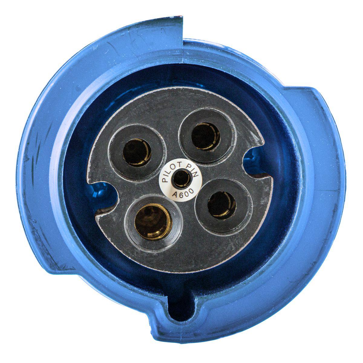 Hubbell Wiring Device-Kellems HBL3100R6WP Pin & Sleeve Receptacles