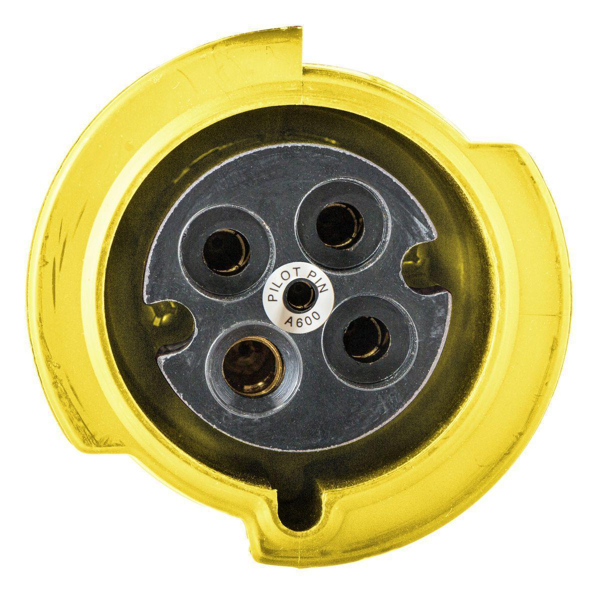 Hubbell Wiring Device-Kellems HBL3100R4WP Pin & Sleeve Receptacles