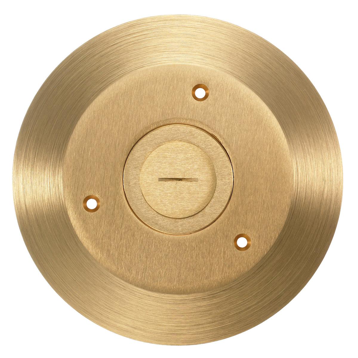 Hubbell Wiring Device-Kellems ScrubShield® SF2725 1-Piece Combination Machined Standard Cover and Flange, 6-1/4 in Dia, 0.31 in D, Brass