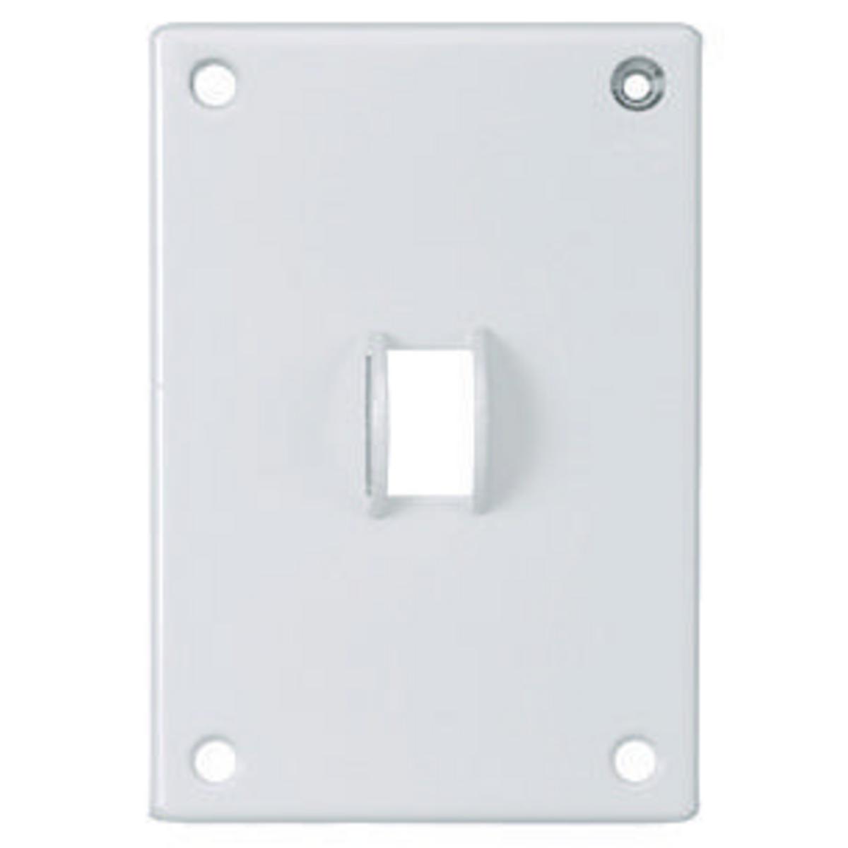 Hubbell Wiring Device-Kellems SWP1 Standard Wallplates